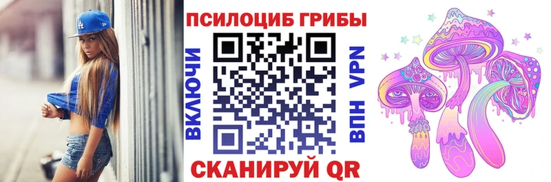 Купить где  Брянск  Псилоцибиновые грибы Magic Shrooms 
