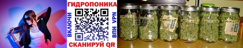 МАРИХУАНА ГИДРОПОН  Купить где  Брянск 